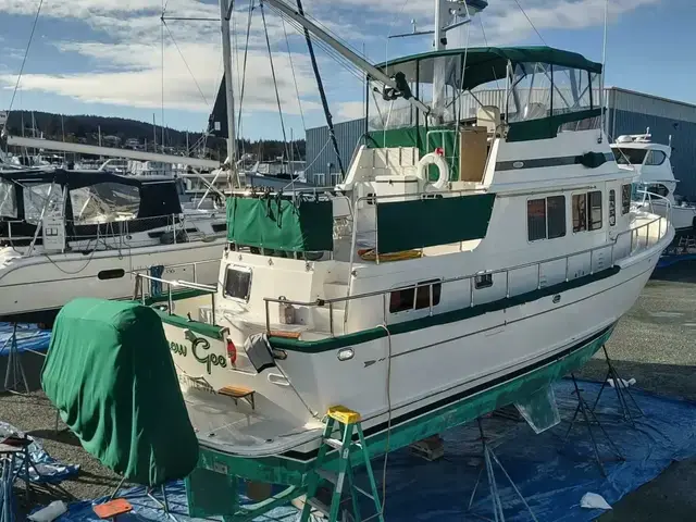 Selene Archer 40 Ocean Trawler