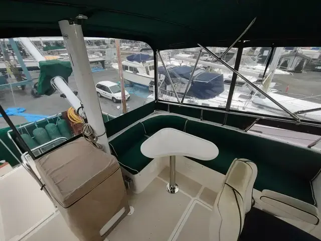 Selene Archer 40 Ocean Trawler