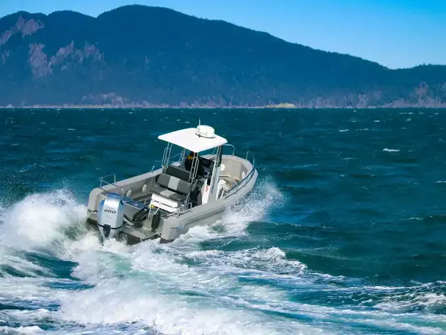 Bullfrog 22' Offshore Ranger