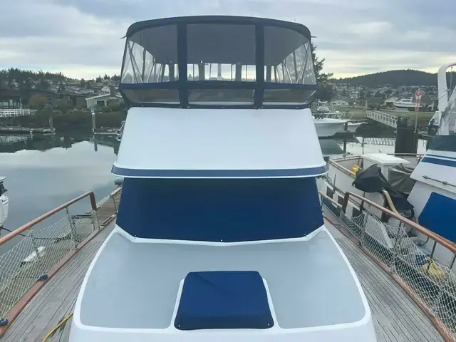 Ocean Alexander 43 Motoryacht