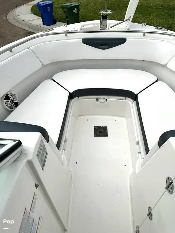 2019 Robalo r247