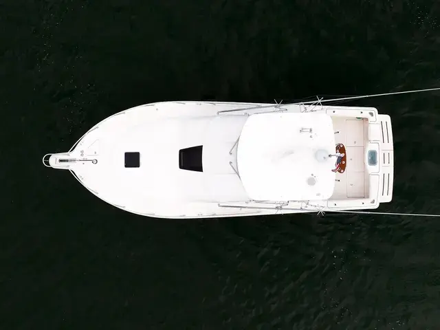 Tiara 39'