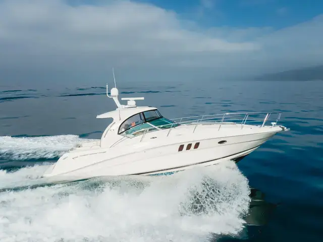 Sea Ray 40