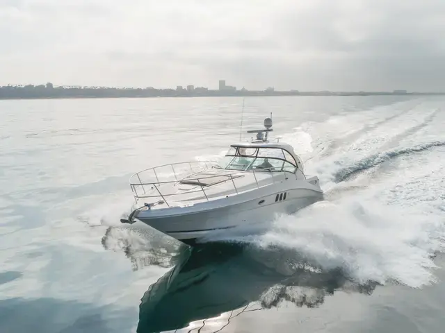 Sea Ray 40