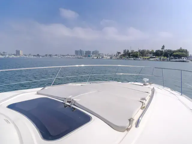 Sea Ray 40