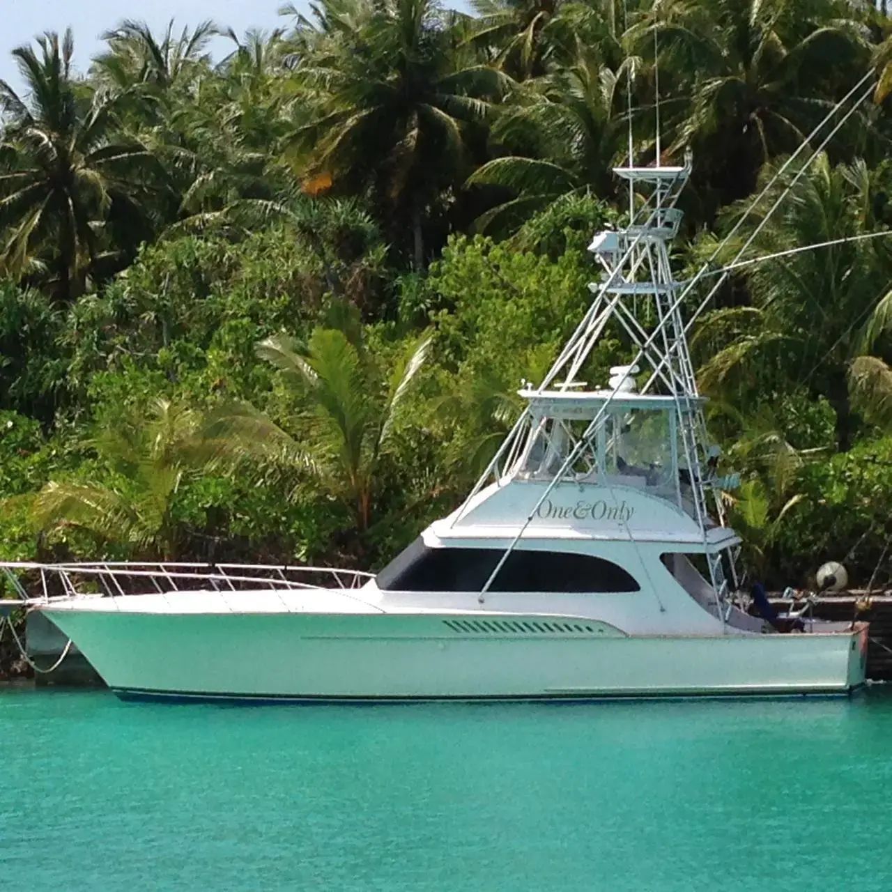 1990 Buddy Davis 47 sportfish