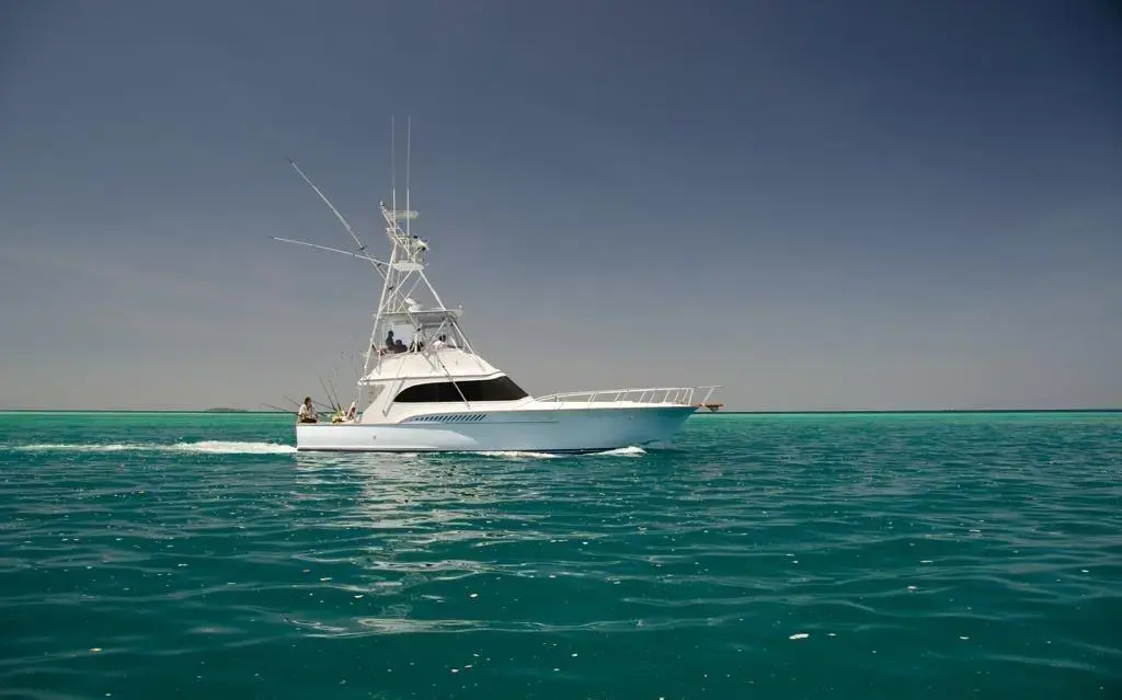 1990 Buddy Davis 47 sportfish