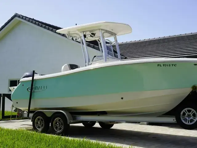 Robalo R230 center console