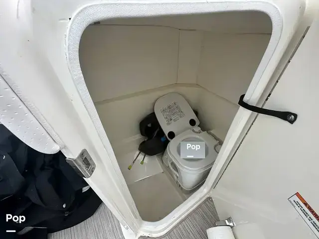 Sea Ray 230 Spx