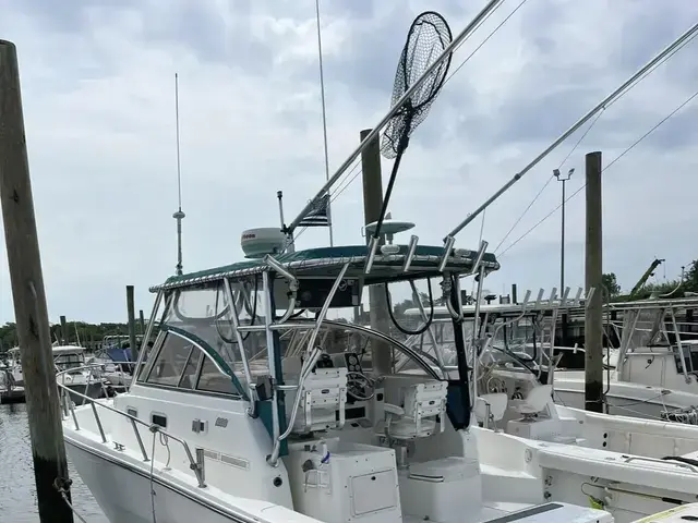 Shamrock Boats 290 Walkaround