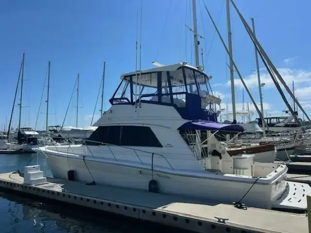 Riviera 43