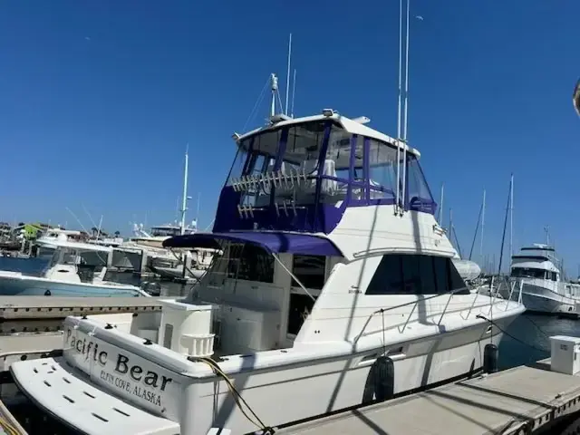 Riviera 43