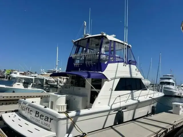 Riviera 43