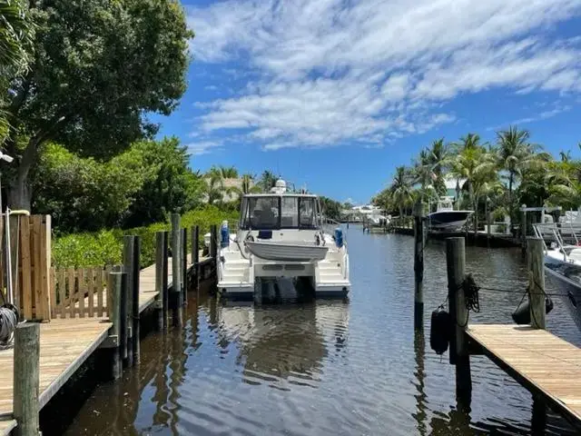 2006 Endeavour trawler cat 38