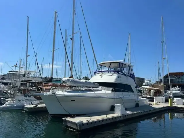 Riviera 43