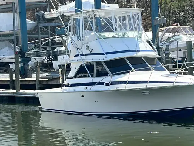 Bertram 35'