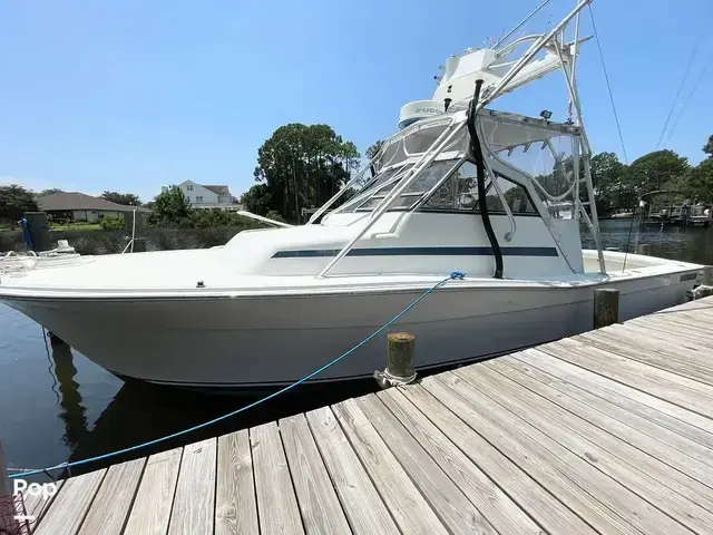 Bimini 29 Sport Fish