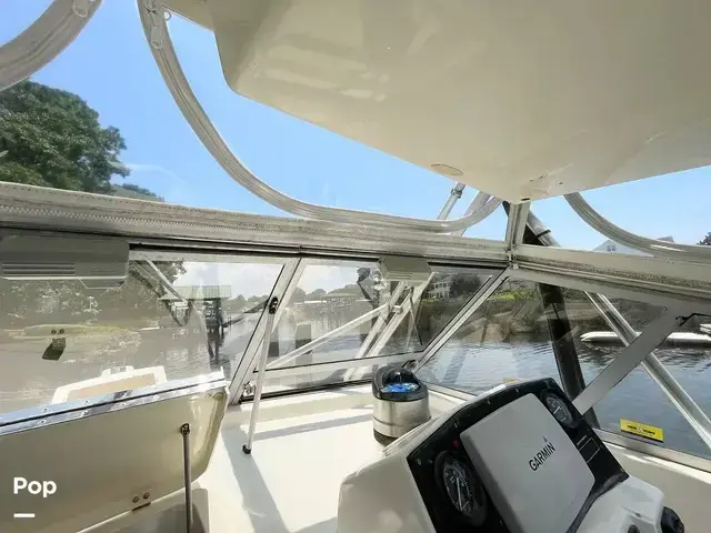 Bimini 29 Sport Fish