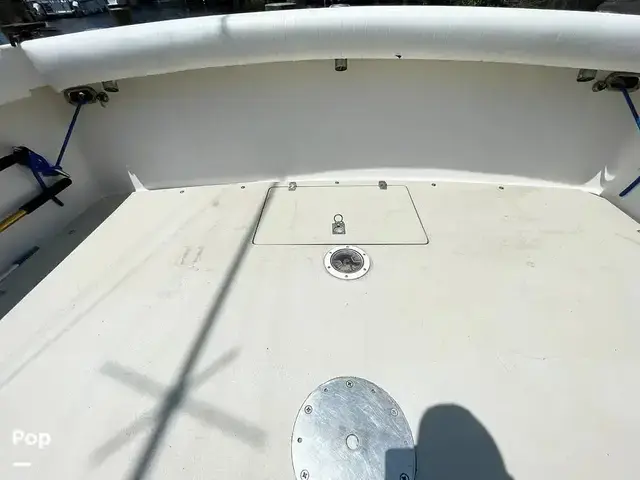 Bimini 29 Sport Fish