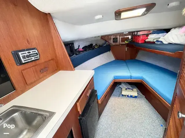 Bimini 29 Sport Fish