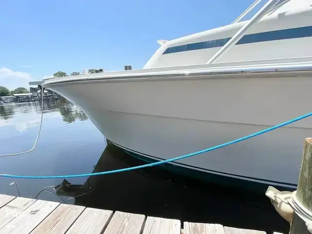 Bimini 29 Sport Fish