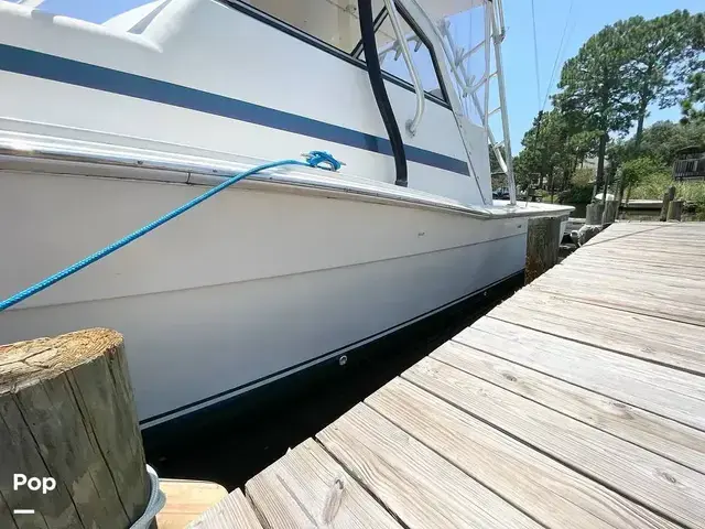 Bimini 29 Sport Fish