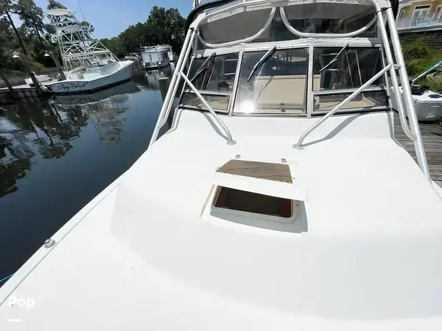 Bimini 29 Sport Fish