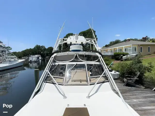 Bimini 29 Sport Fish