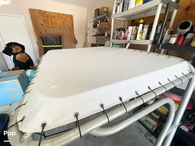 Bimini 29 Sport Fish