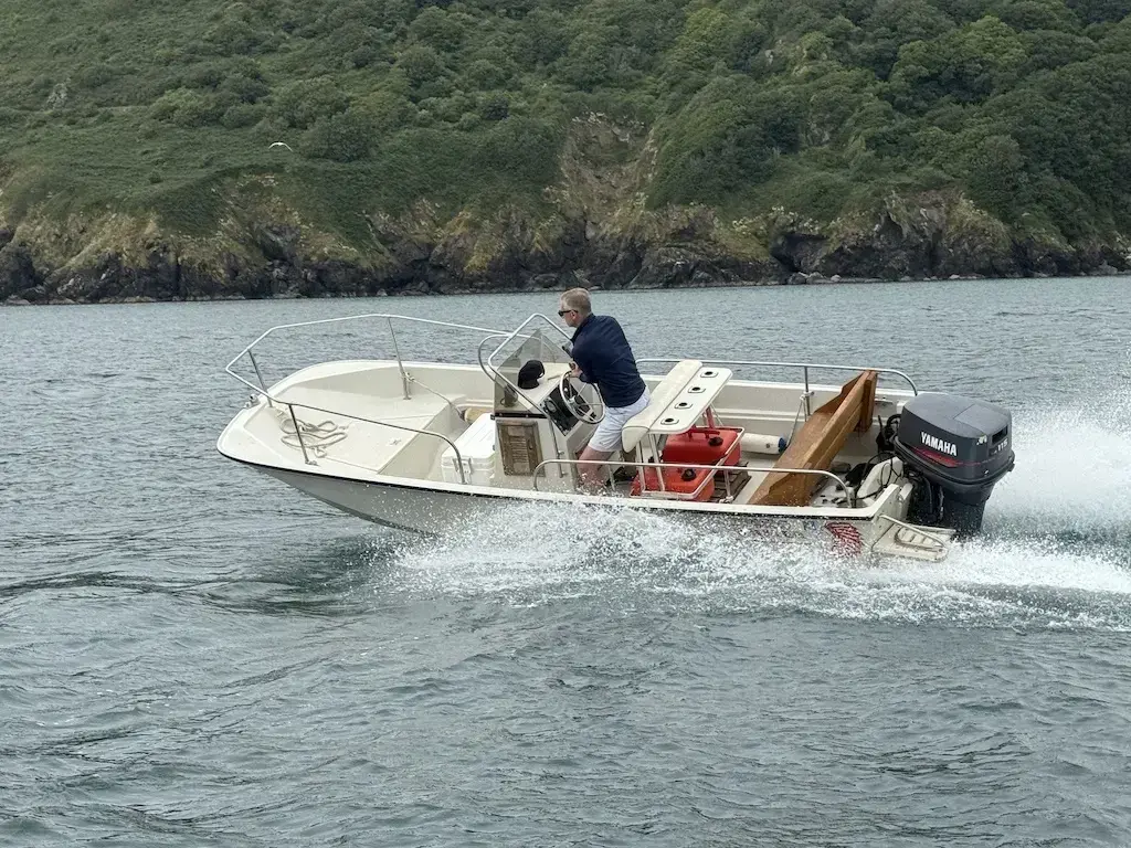 1993 Boston Whaler 17 montauk