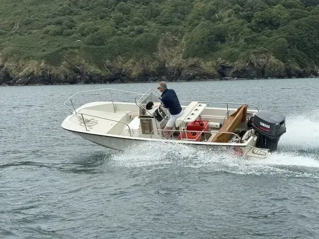 Boston Whaler 17 Montauk