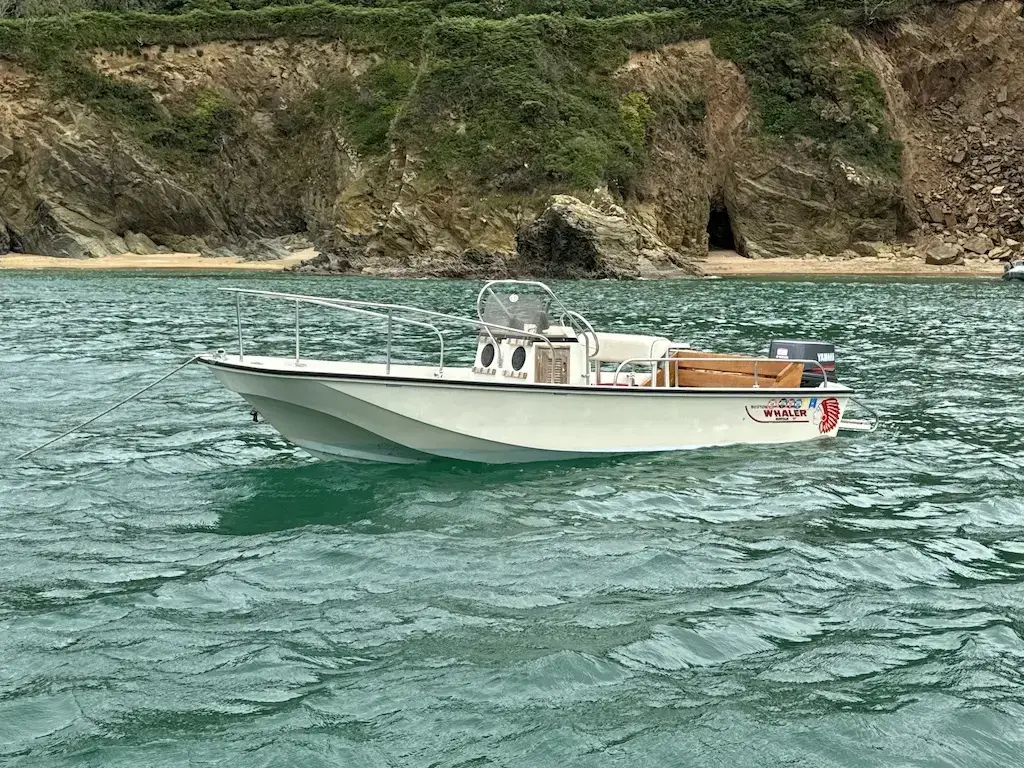 1993 Boston Whaler 17 montauk