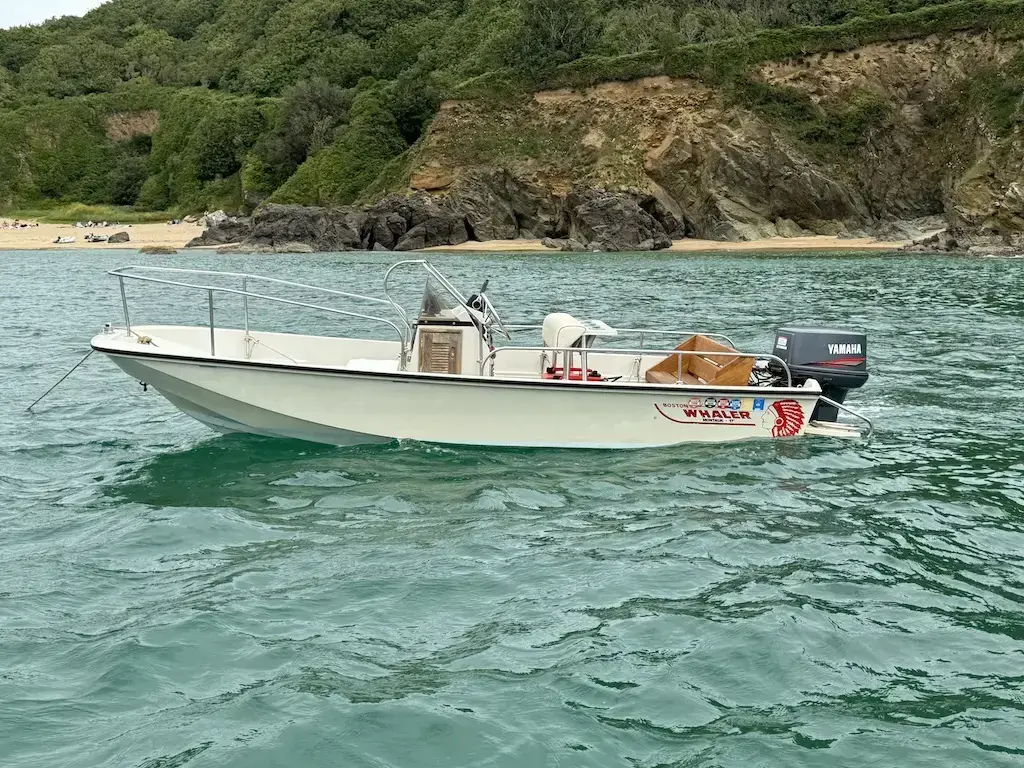 1993 Boston Whaler 17 montauk