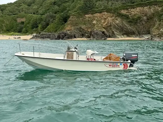 Boston Whaler 17 Montauk