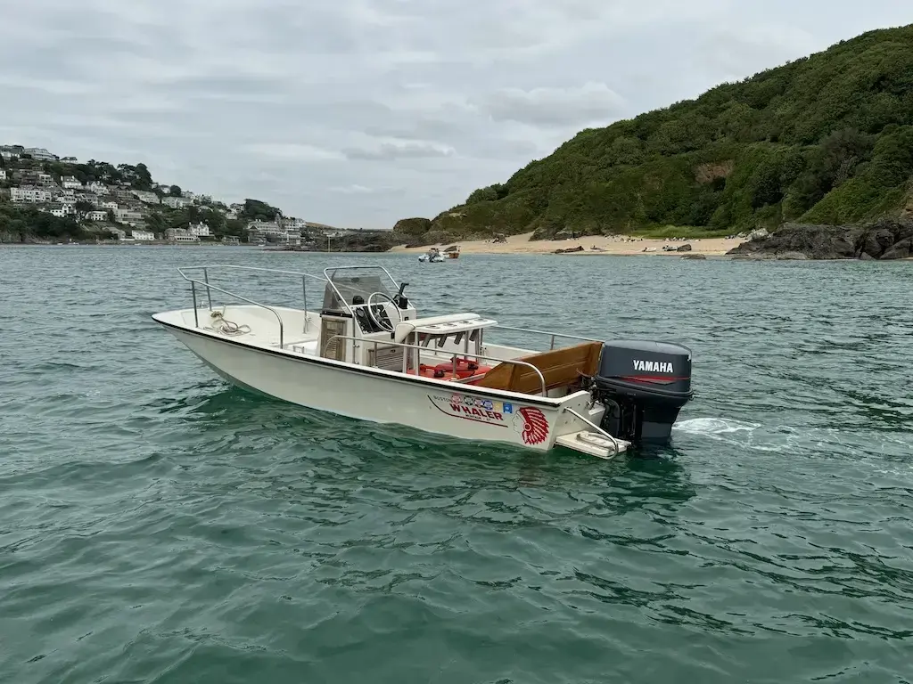 1993 Boston Whaler 17 montauk