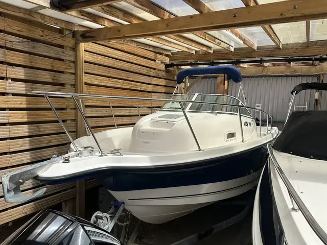 Bayliner 2352 Trophy