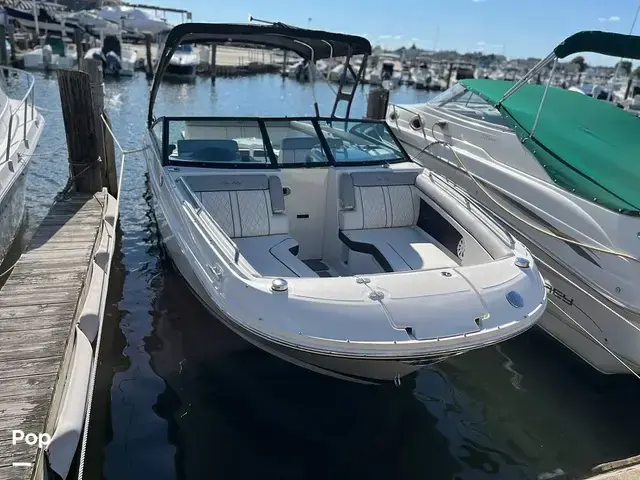 Sea Ray 270 Sundeck