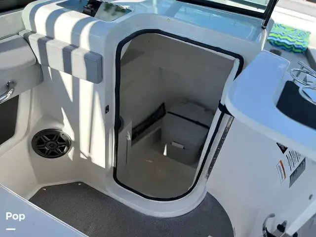 Sea Ray 270 Sundeck