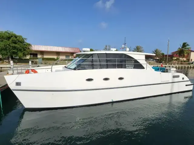 Custom Americas Cup Tender 45