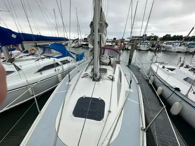 Dehler 31 Top Nova