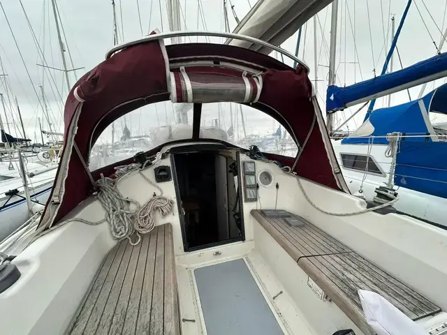 Dehler 31 Top Nova