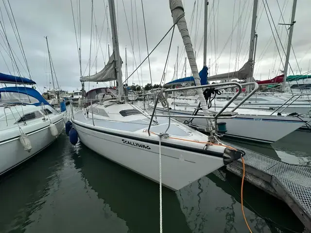 Dehler 31 Top Nova