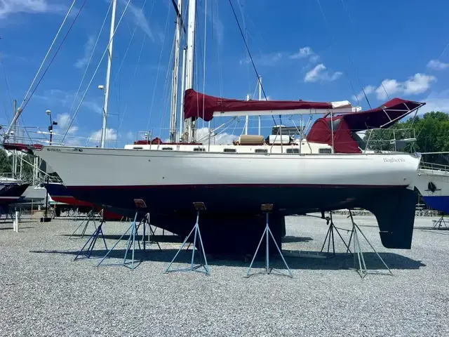 Nebe Shearwater 39