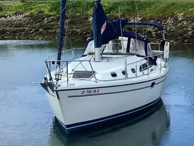 Catalina 35'