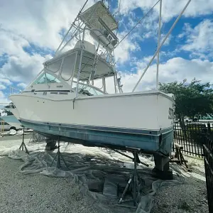 1998 Cabo 31 Express with Tower