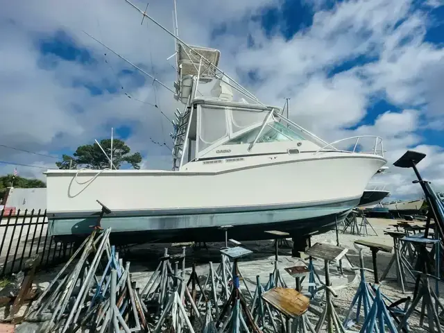 Cabo 31 Express with Tower