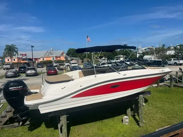 Sea Ray 23