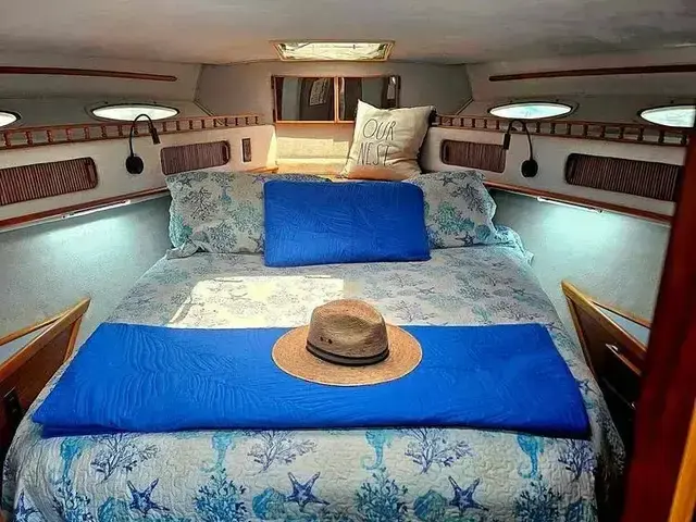 Sea Ray 360 Aft Cabin