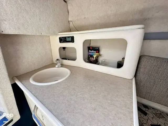 Sea Ray 245 Weekender