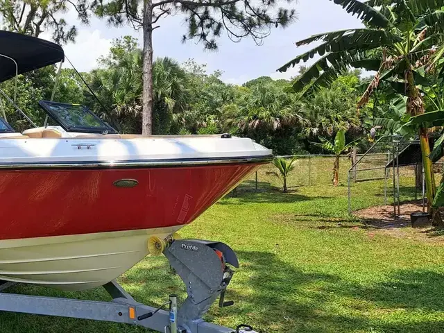 Sea Ray SPX 230 OB